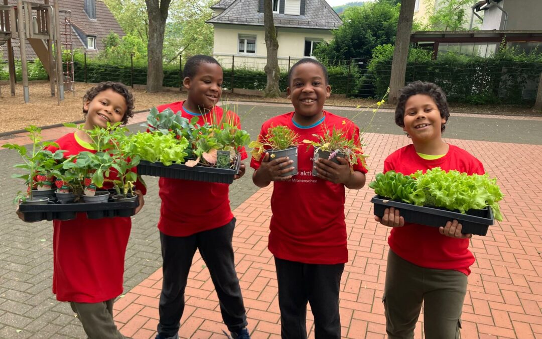 Neue Hochbeete für die Naturdetektive AG der Obenstruthschule