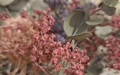 Interreligiöser Friedhofsrundgang